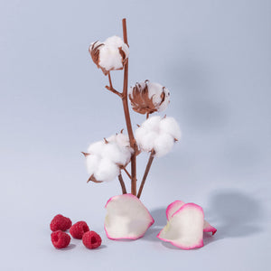 Compagnie De Provence Hand Cream - Cotton Flower